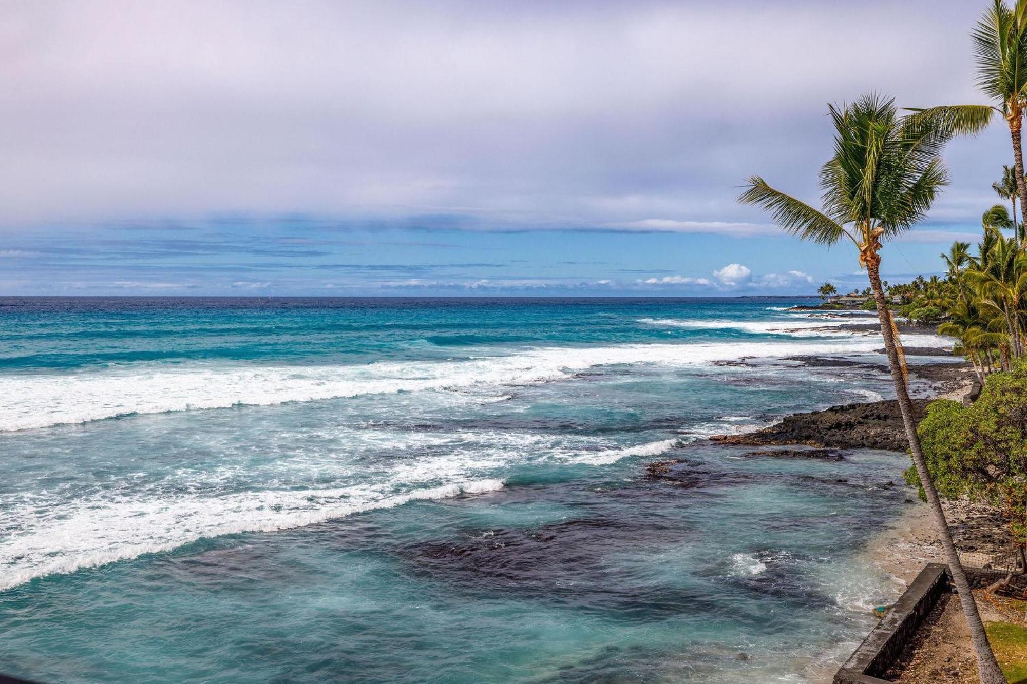 Banyan Tree 404D Villa Kailua-Kona Eksteriør bilde